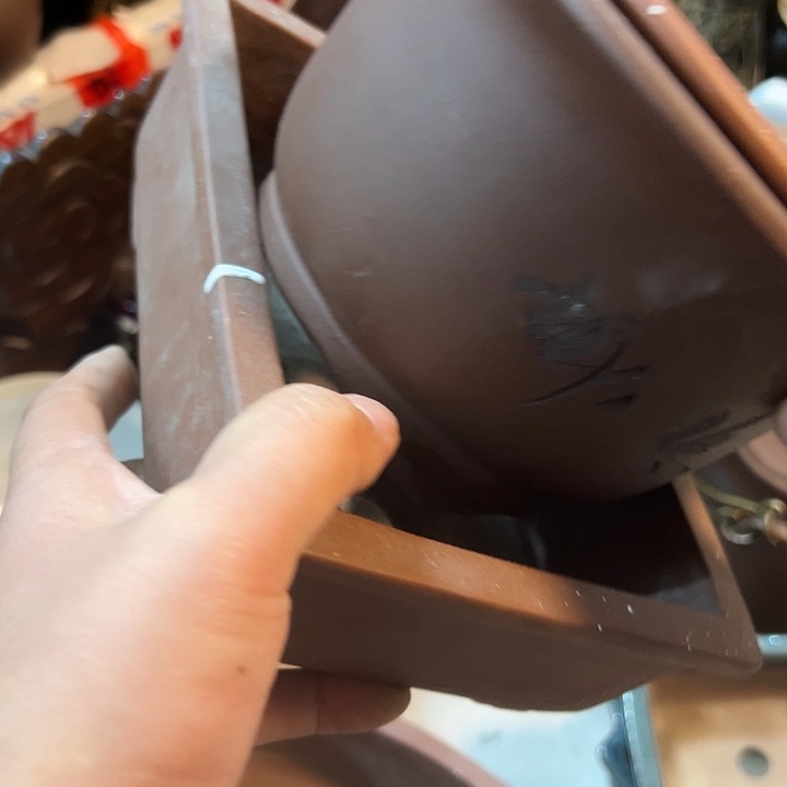 天***涯老物的生活方式和生活