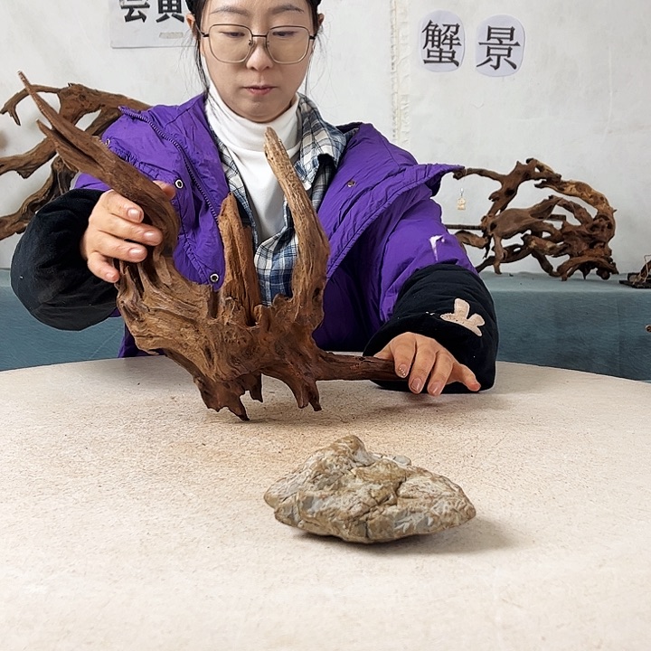 新年快乐沉木造景