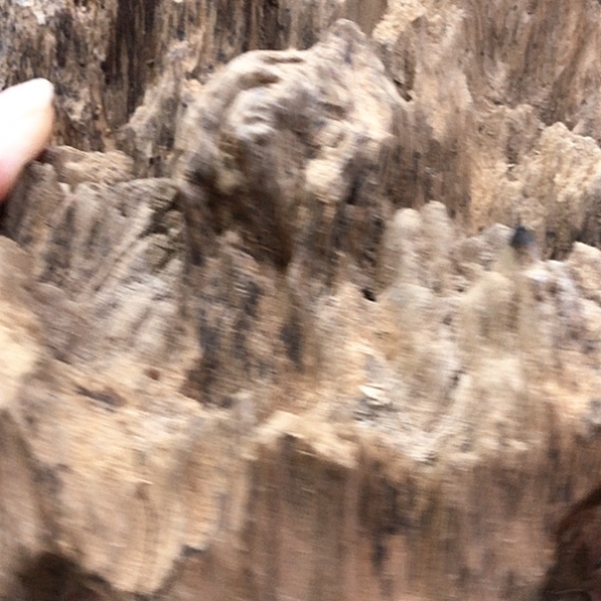 沉香摆件球***蓿沉香摆件