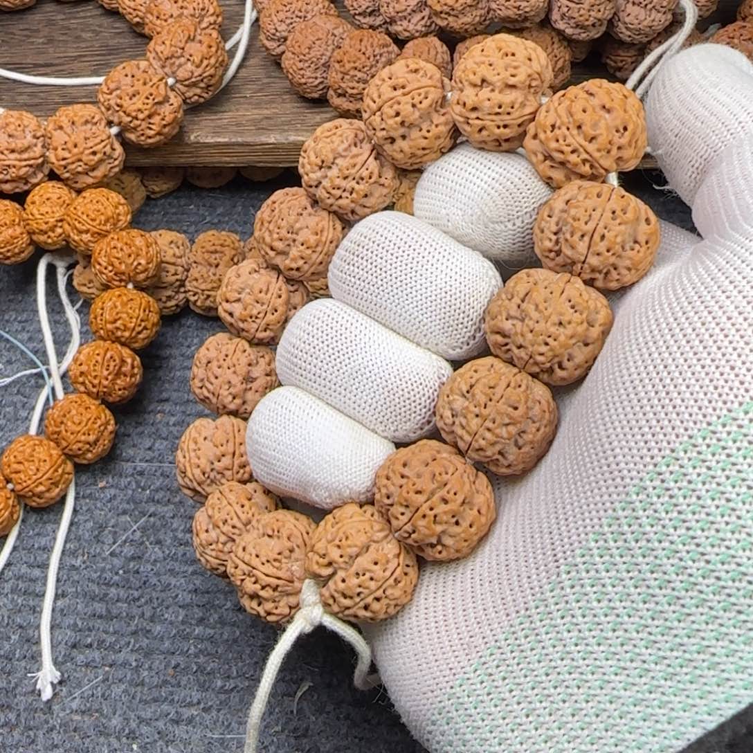 菩提金刚菩提23满肉超头梅花