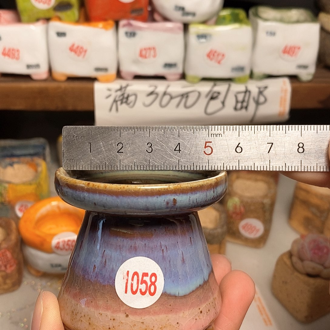 红陶拍5送一个小