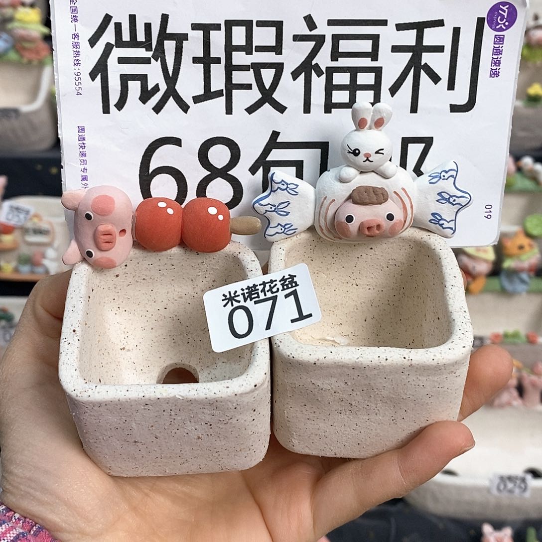 米诺多肉花盆071