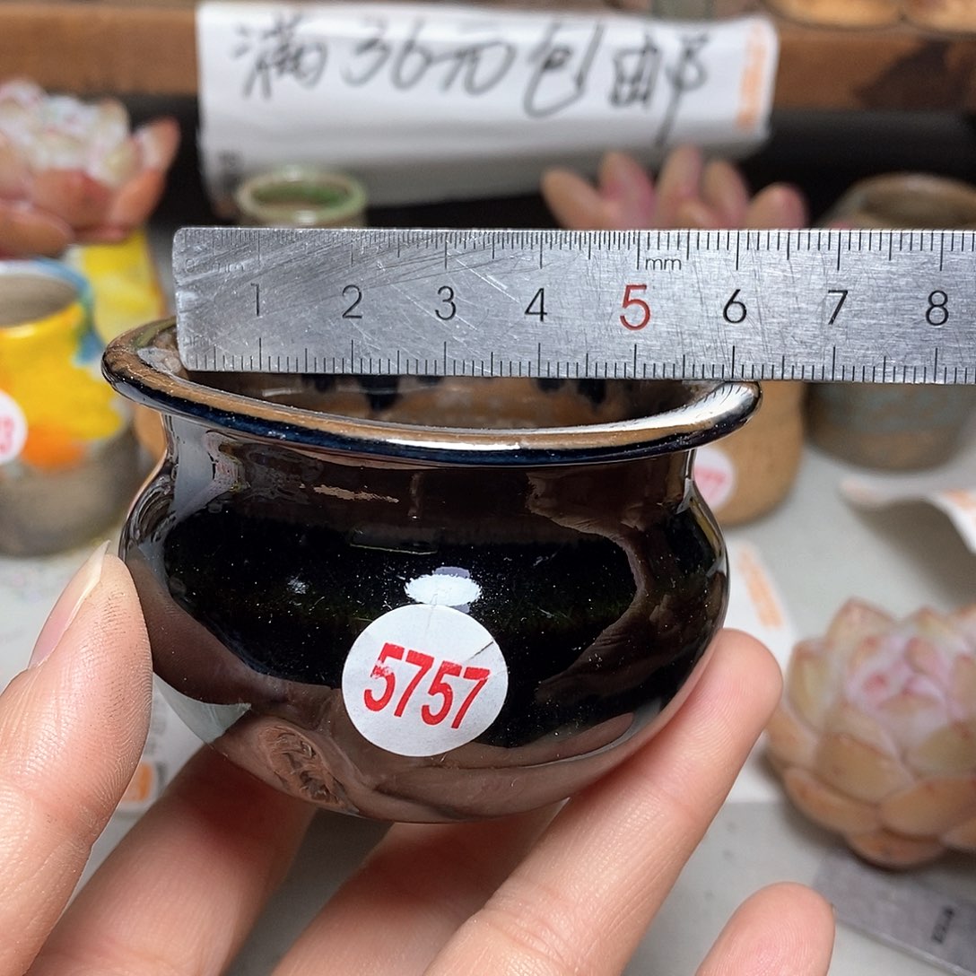 红陶拍5送一个小