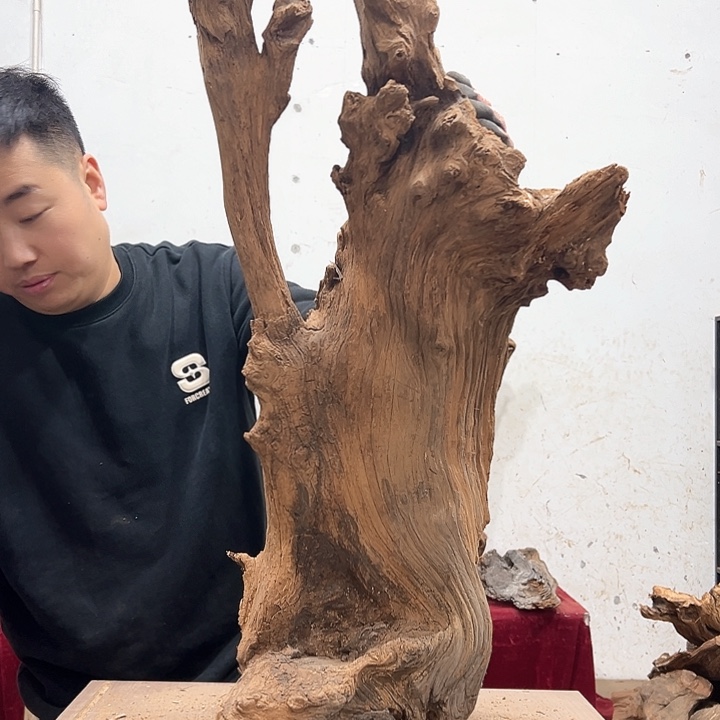 柏木小*我们都是好孩子呀我也是