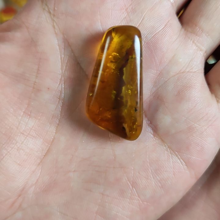 未镶嵌琥珀裸石4只虫子虫珀