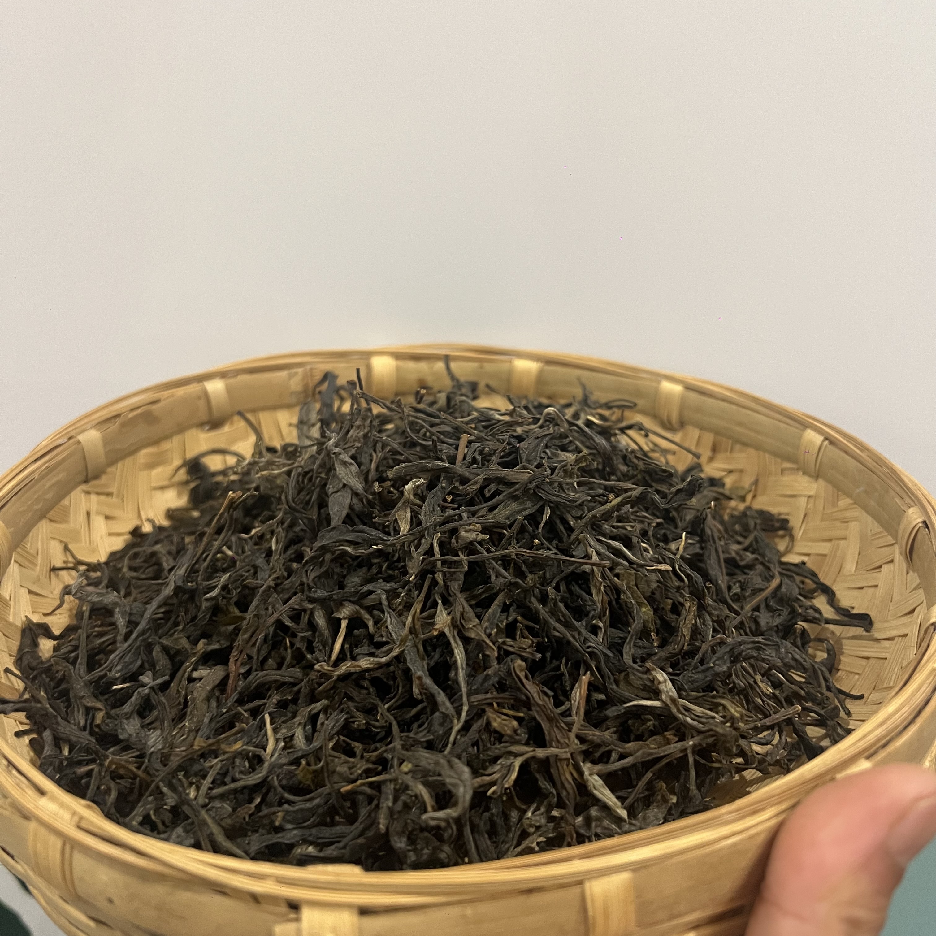 后箐#2019年古树普洱生茶