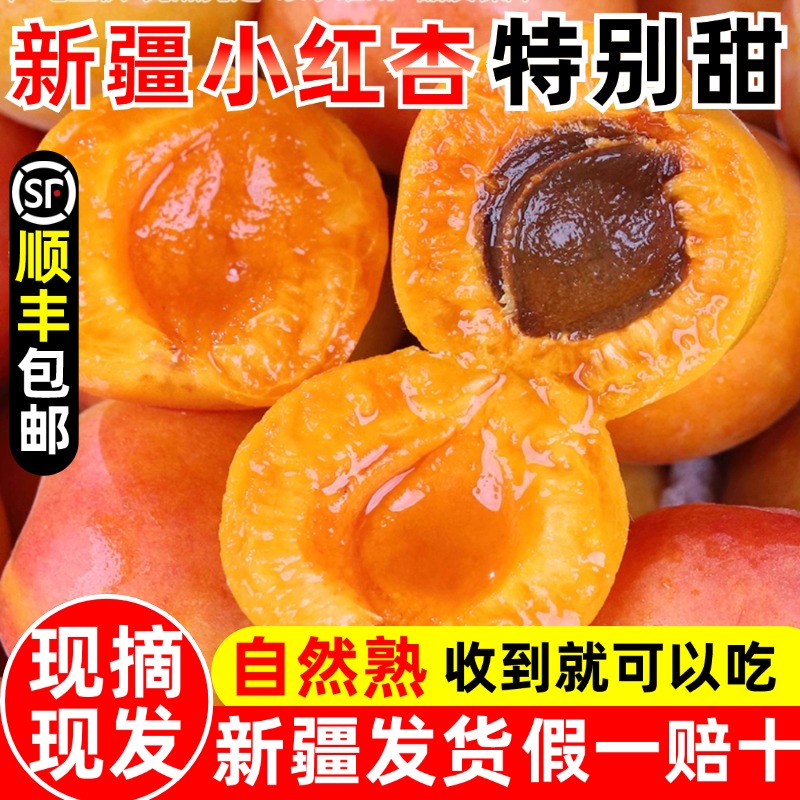 【新疆仓直发】新疆阿克苏吊干杏 3/5斤 顺丰空运新鲜当季软糯香甜