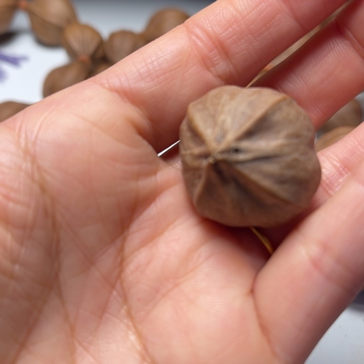 张***J橄榄核手串/手链2.9