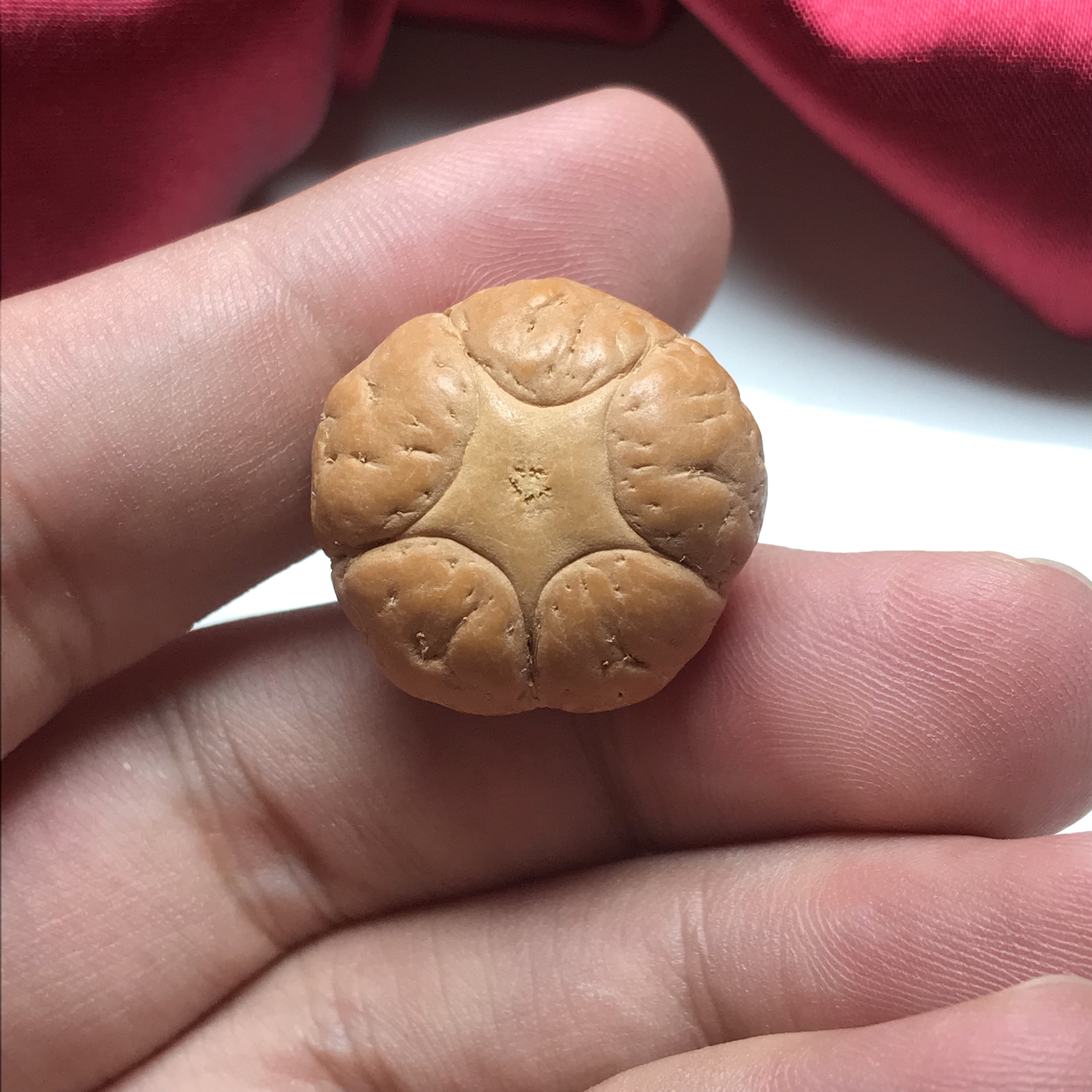 精品22.9mm五星 凤眼菩提 玉籽 高密度