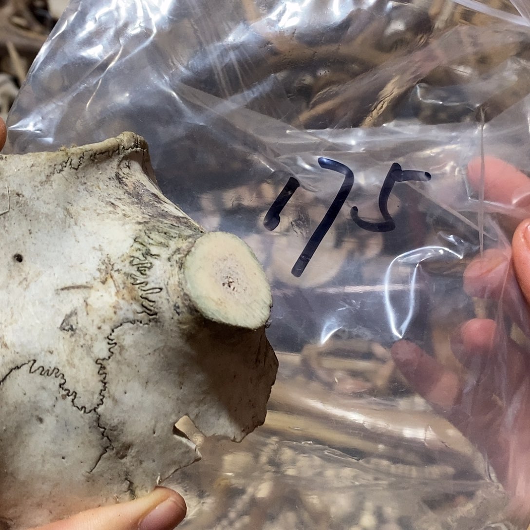 打***将非金属三界三界三界