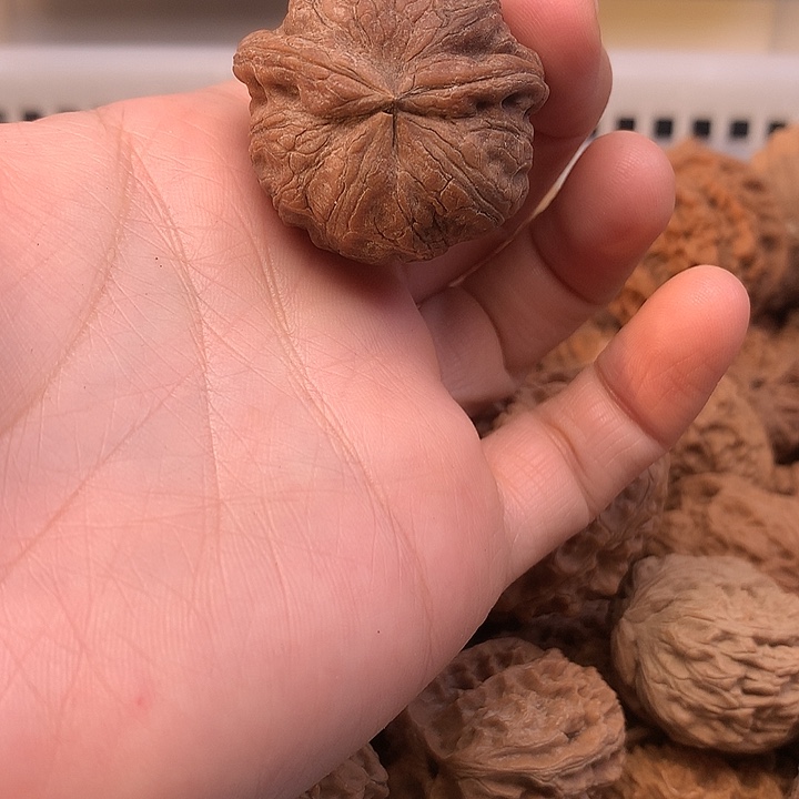 ****文玩核桃吊坠文玩核桃