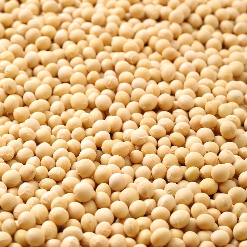 黄豆  干货集市现收