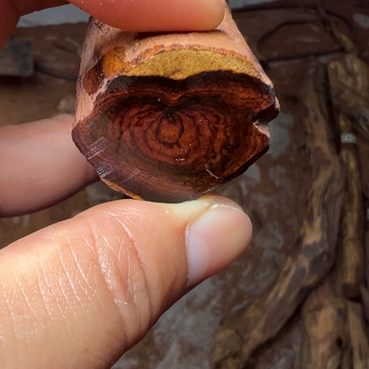 黄花梨/降香黄檀2.0或者1.8蜘蛛