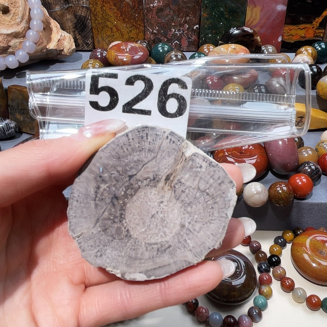 硅化玉未镶嵌天然北票硅化玉吊坠