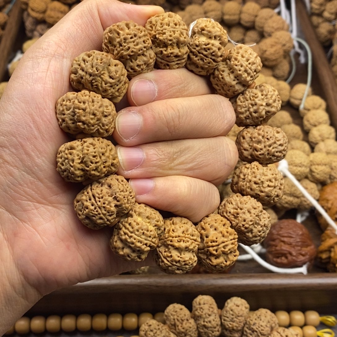 我***骨金刚菩提手串矮壮梅花