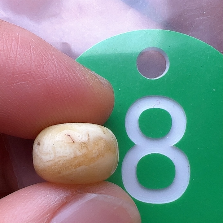 蜜蜡裸石未镶嵌花粉11.5m m