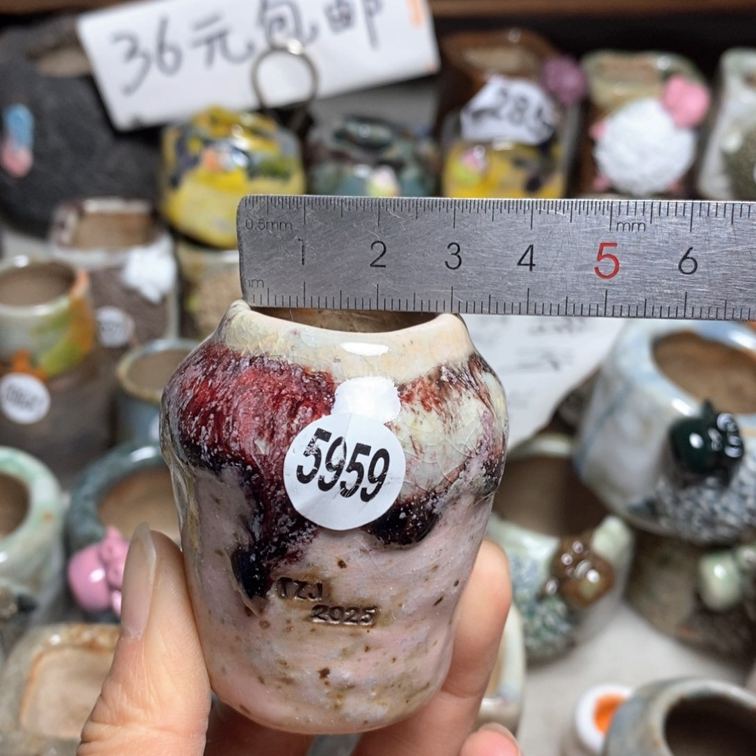 处理的，不退不换的