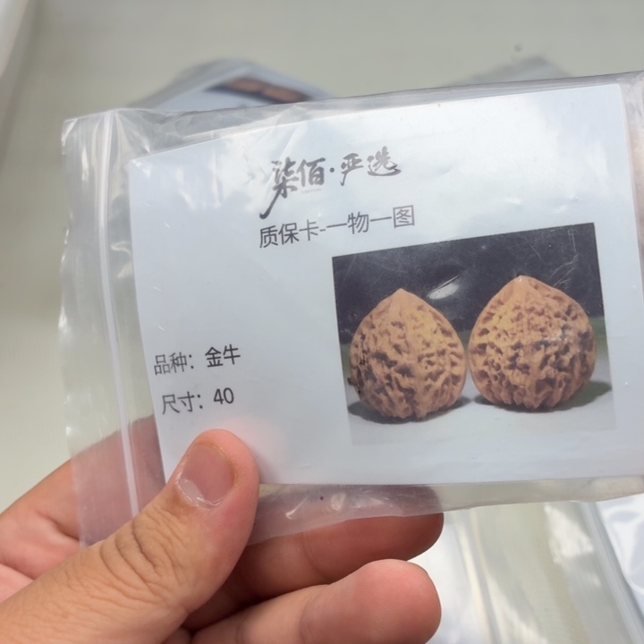 郑***文玩核桃把件40金牛