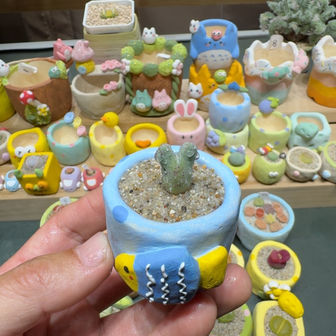 红陶蘑菇713丹尼尔猪蹄