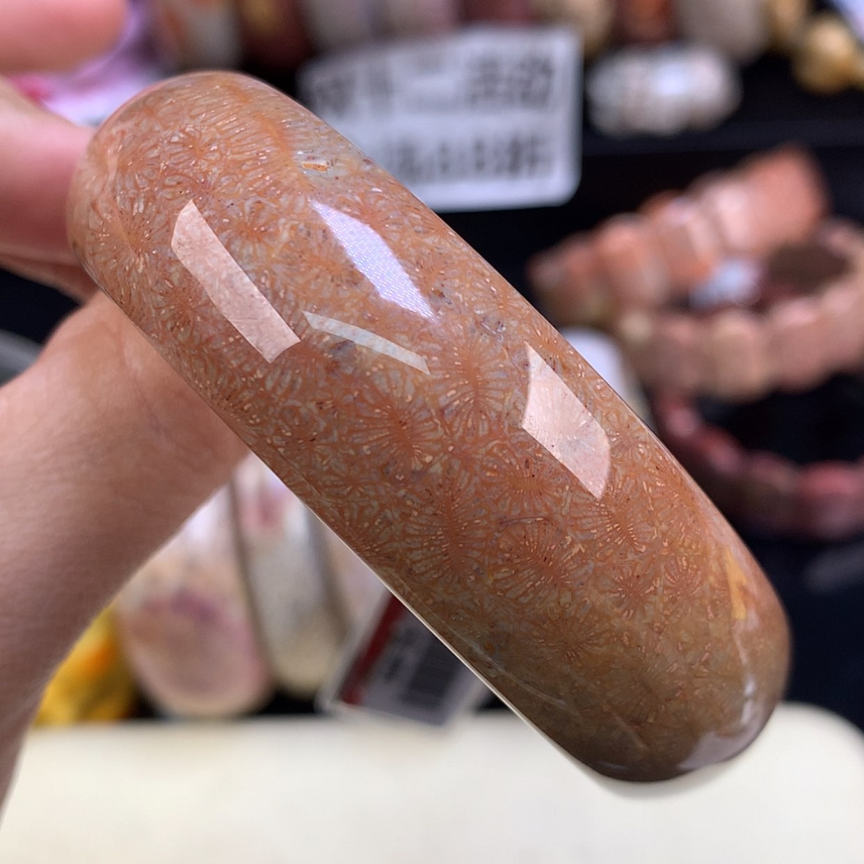 【闪购商品】颈饰未镶嵌硅化珊瑚（珊瑚玉）19号红虫57.2圈