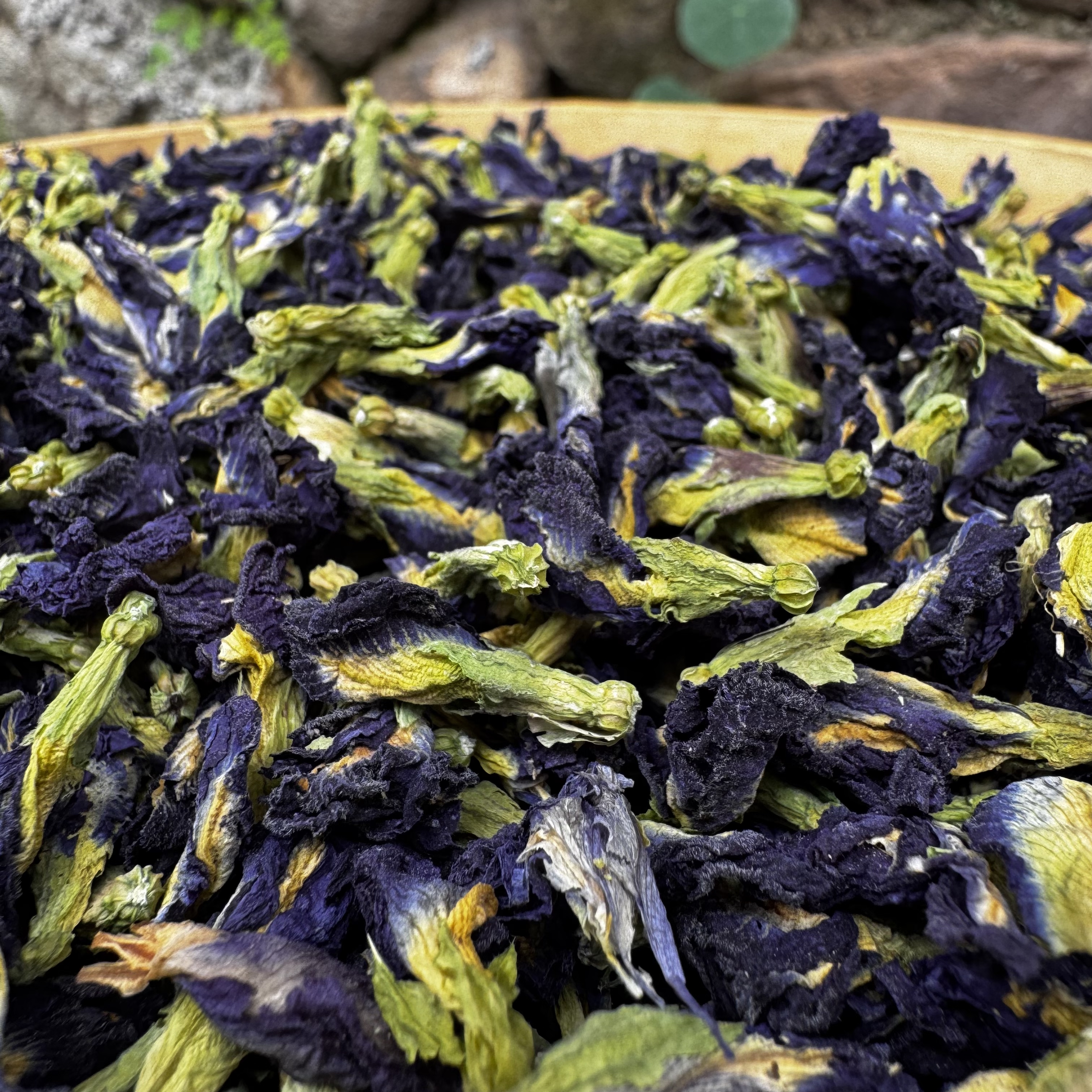 5月29【神龙架】黎苗南古蝶