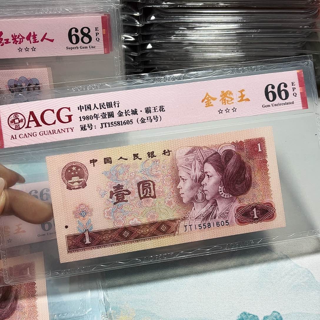 15581605。。。。。金马号