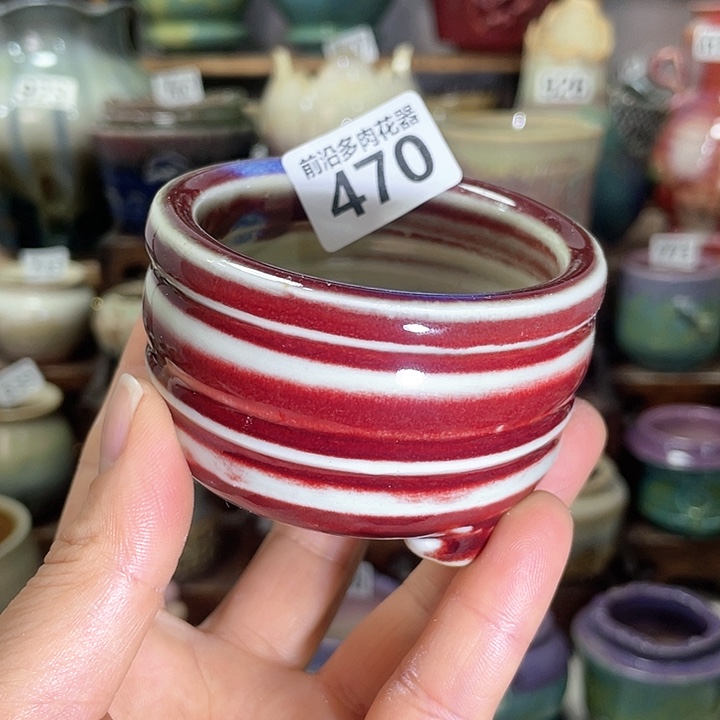 红陶内口径6高度5