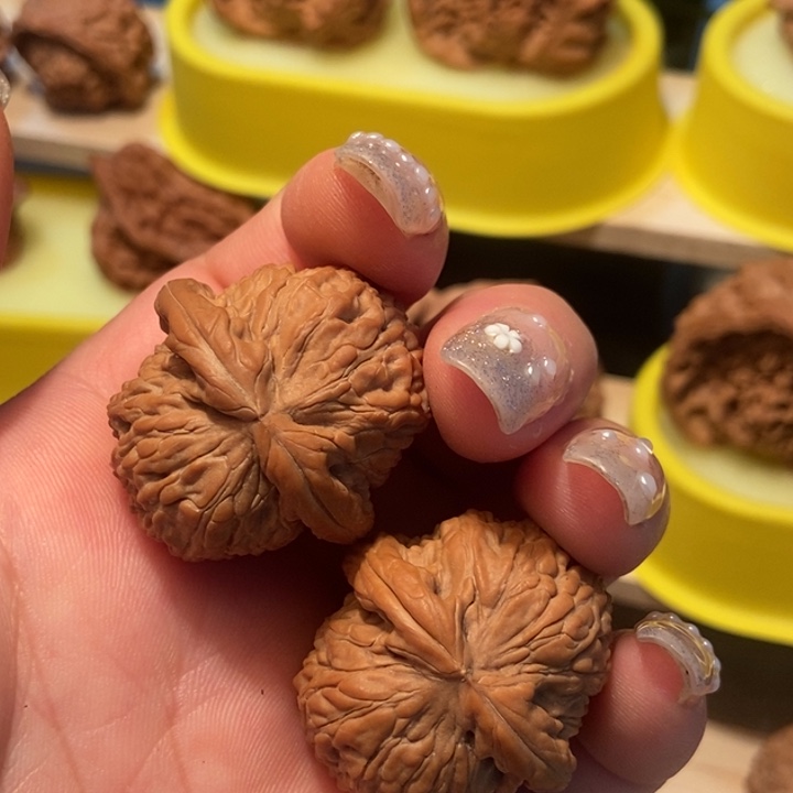 官方网站白狮子32个