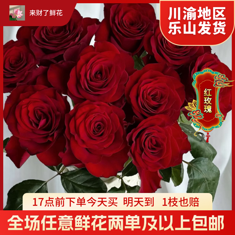 【10支高原红玫瑰】生活鲜花发川渝地区次日达乐山鲜花发货顺丰