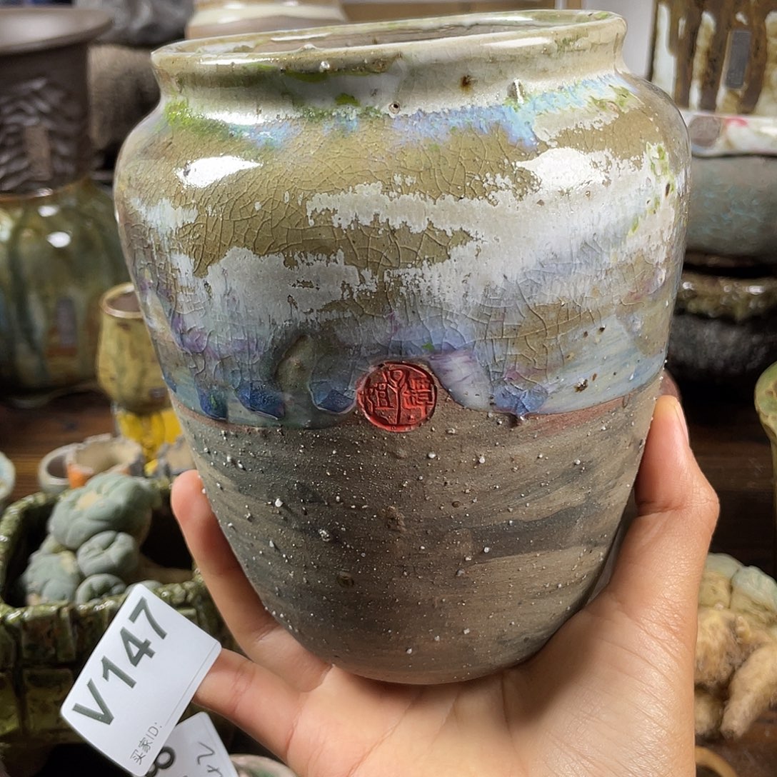 默认微次 限时福利 坛子姐花盆