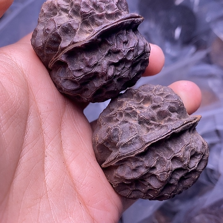 把件文玩核桃  240