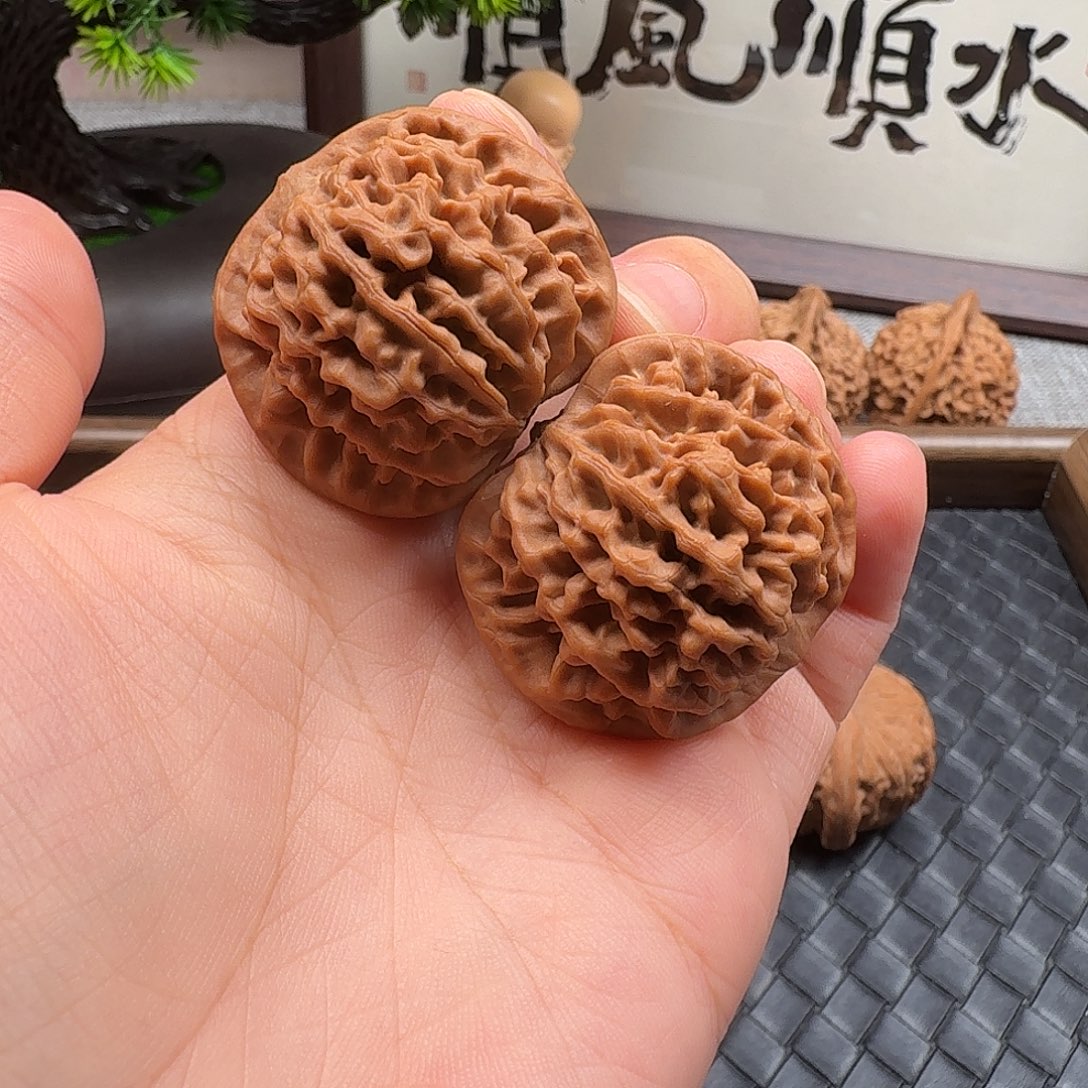 核桃全品新果秦闷37