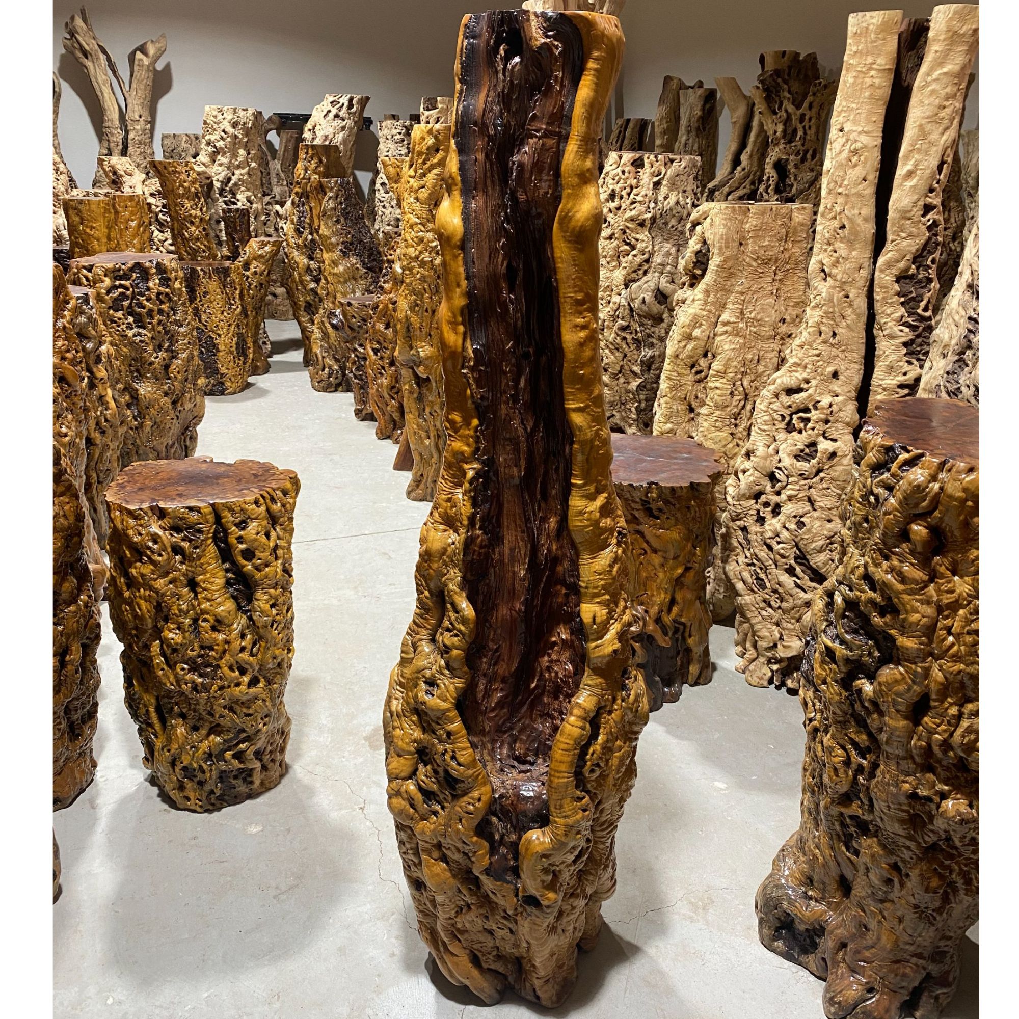 2号商品·天然雷击枣木根雕（请提前联系客服，勿拍，改价专用链接）