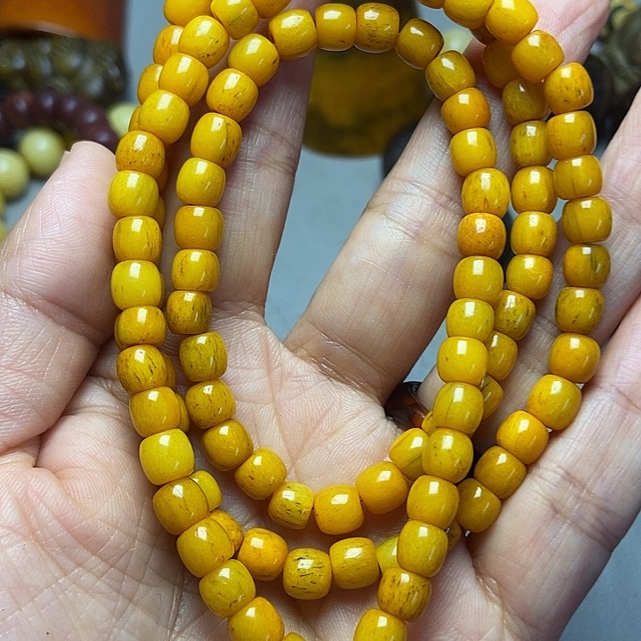 大果紫檀（缅甸花梨）