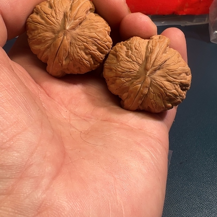 明***.大叶紫檀（黑酸枝木类）