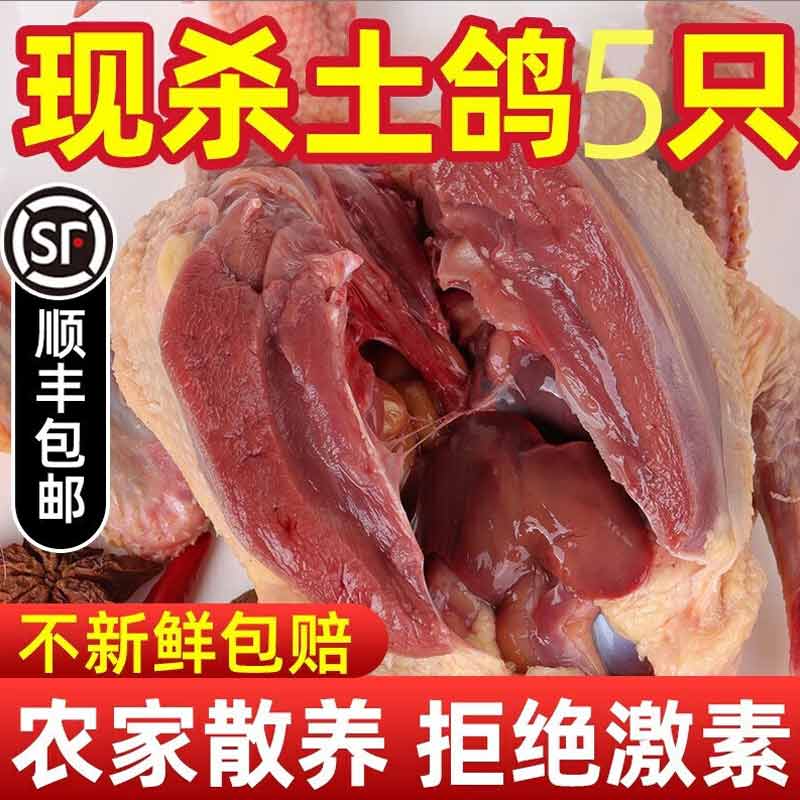 鸽子肉新鲜现杀农家散养发货煲汤乳鸽老鸽子鸽子现杀新鲜顺丰包邮