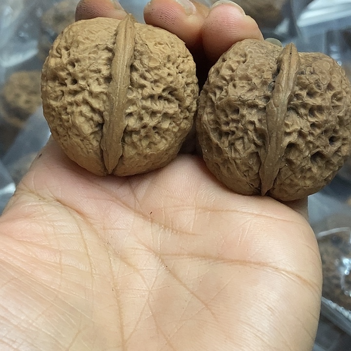 文玩核桃把件云南铁核桃基地86