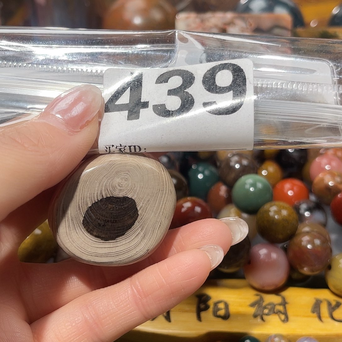 硅化玉未镶嵌天然北票硅化玉原石