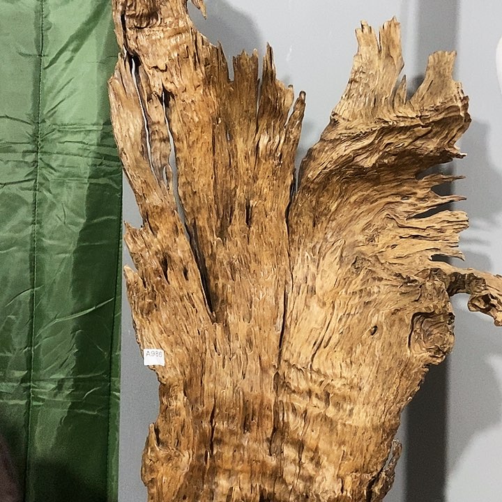 折**k986株木随行的小根艺