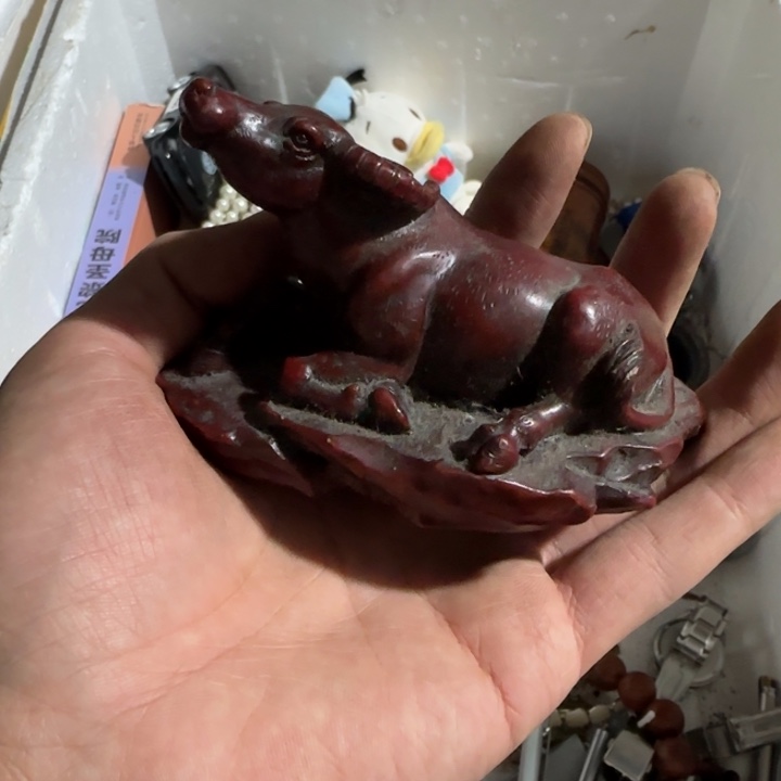 真***忘随时随地的的染发