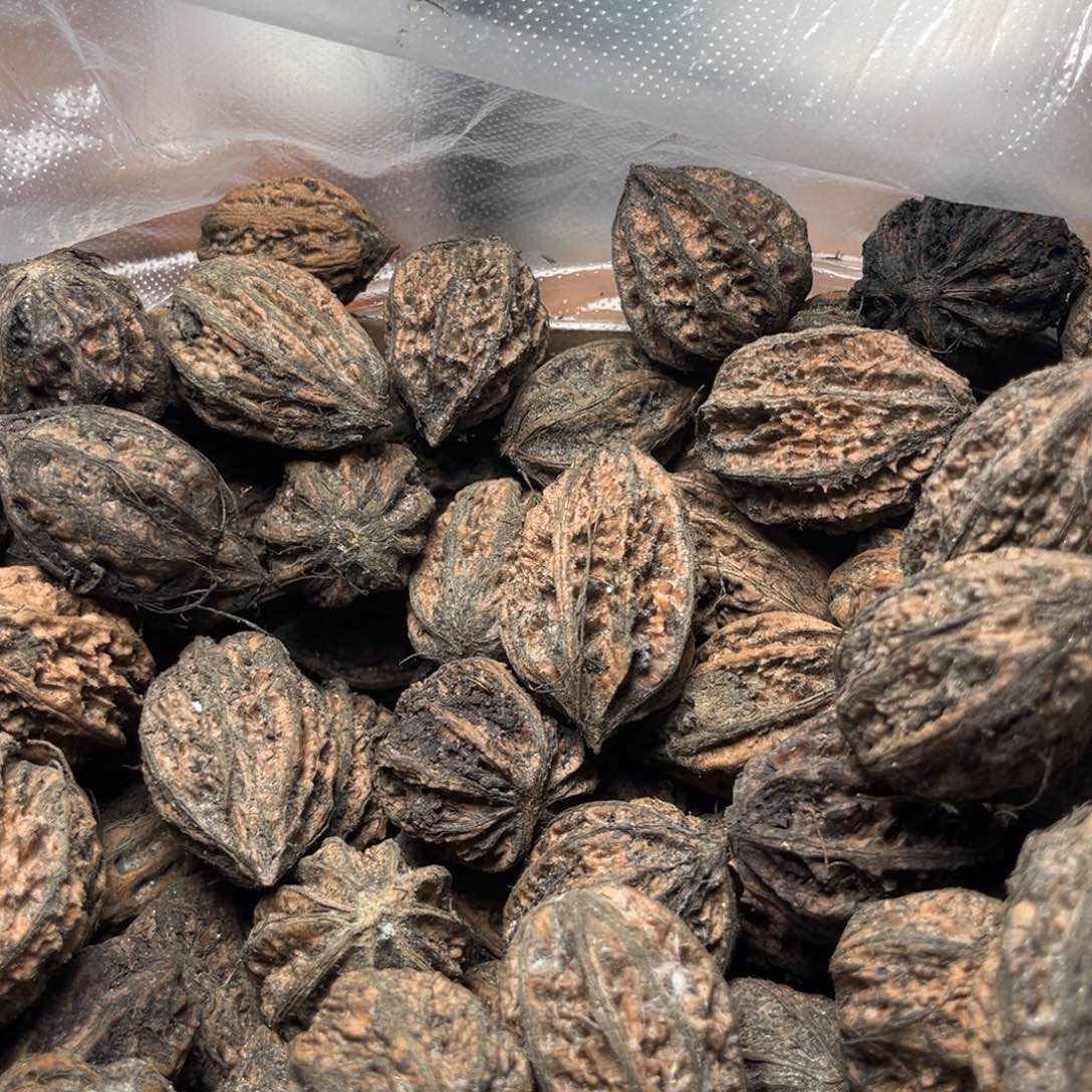 手串文玩核桃核桃19