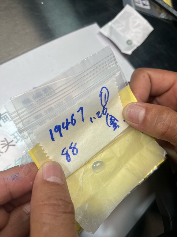 天然缅甸翡翠a货蛋面 未镶嵌