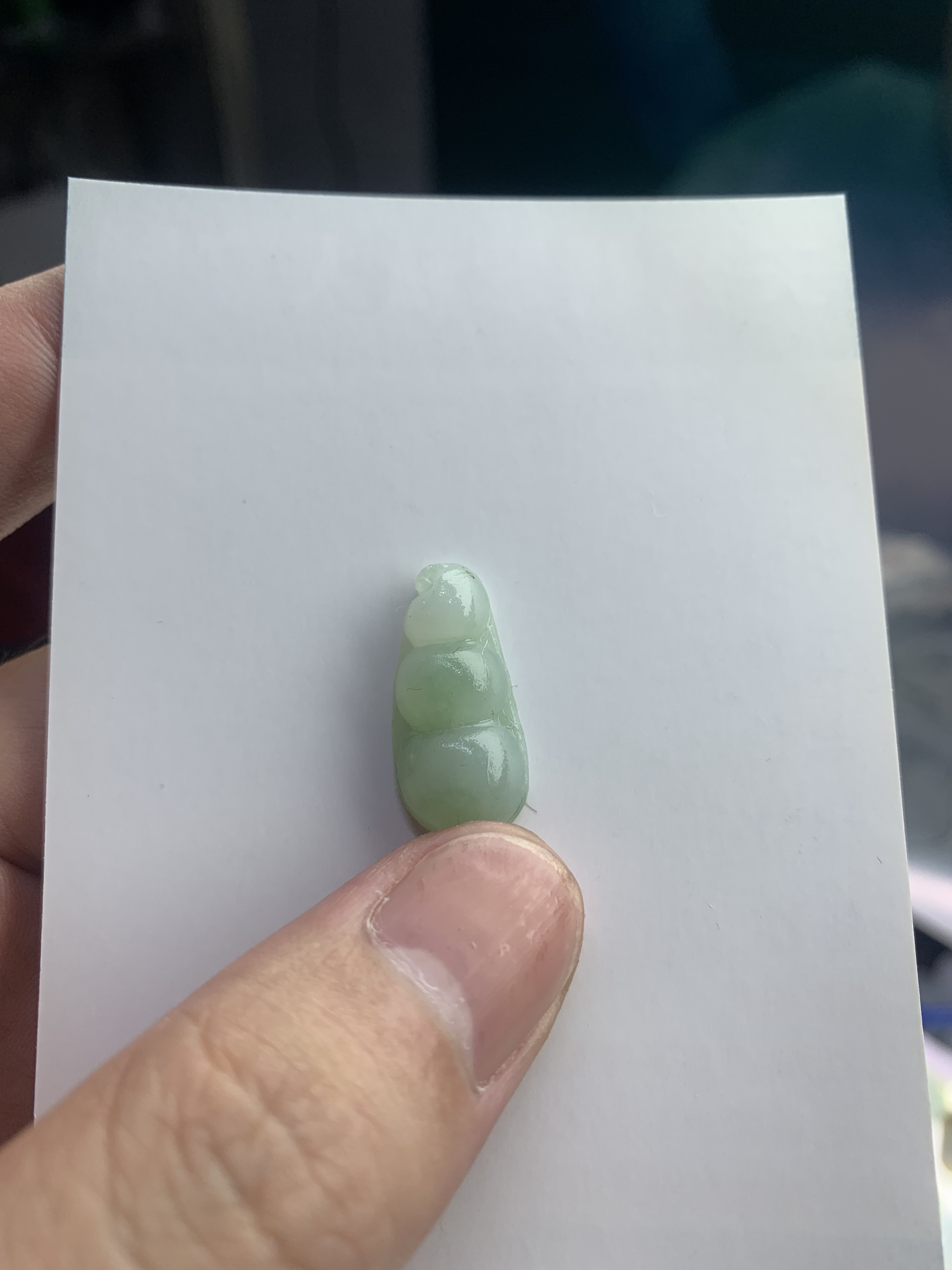 天宝翡翠-芙蓉底豆子果绿