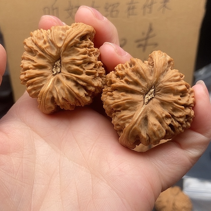 天***雨大大大大大大大南疆