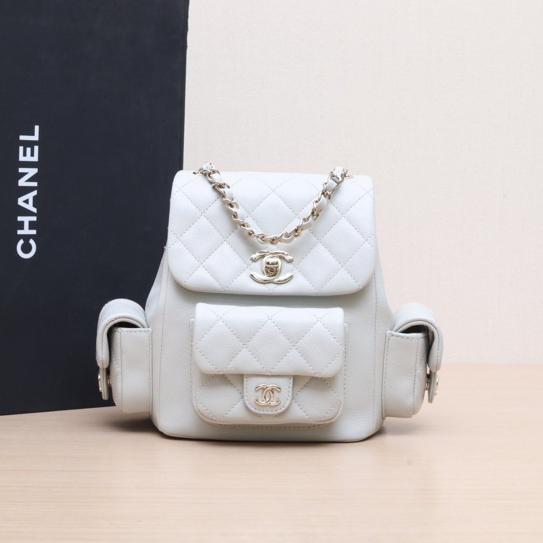 99新 Chanel/香奈儿 小花双双 Duma 24B 双肩包 小号 灰色 芯片开