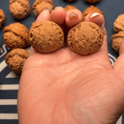 橄榄核手串/手链胶龙31全品