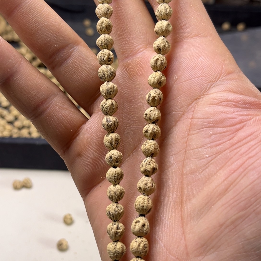 完***画柏香籽/百香籽吊坠