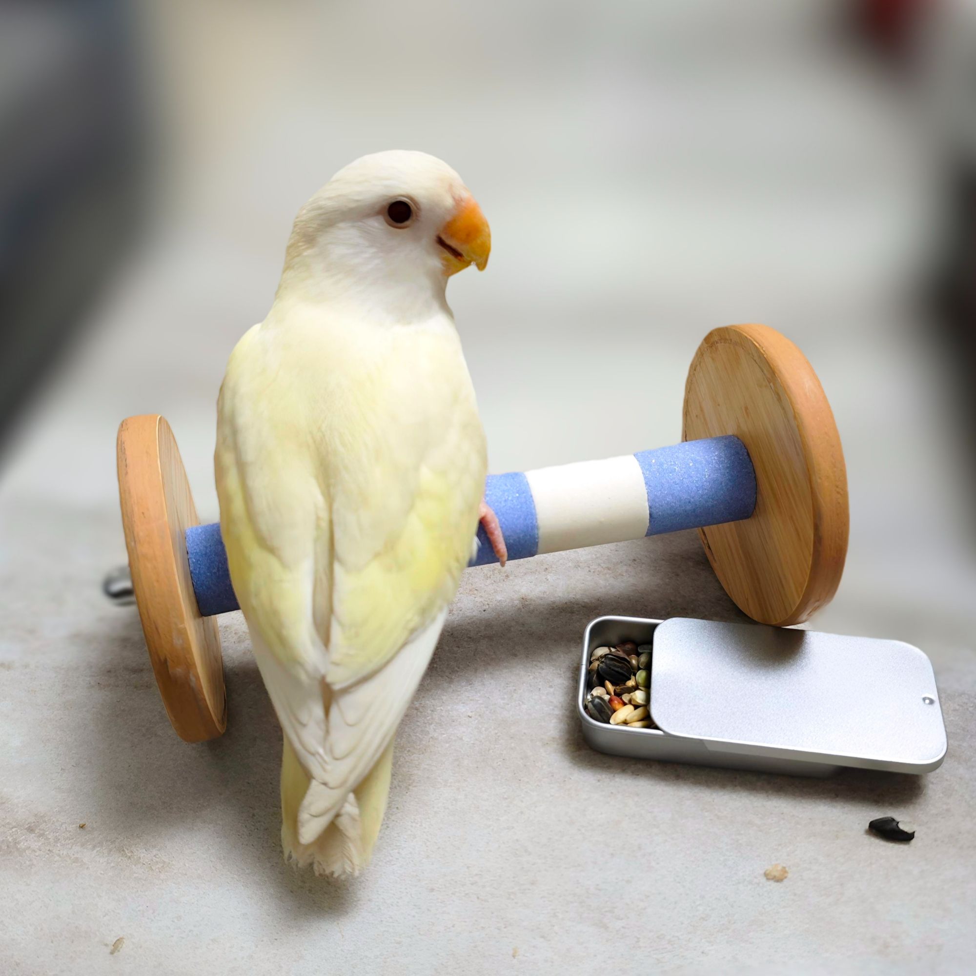 鹦鹉用磨砂站杆磨爪棒陶瓷站架平衡车虎皮玄凤牡丹鸟啃咬玩具