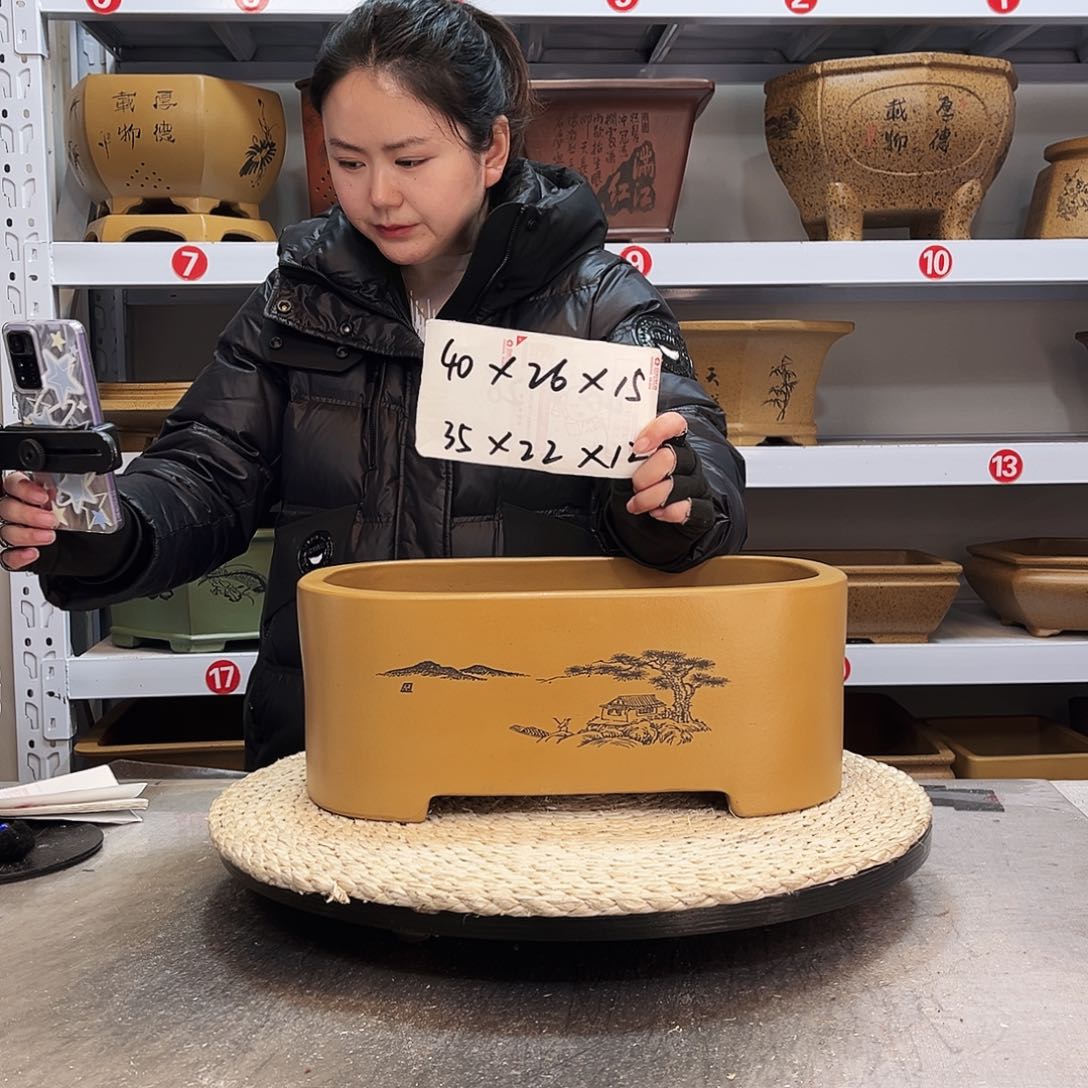 紫砂花盆紫砂花盆