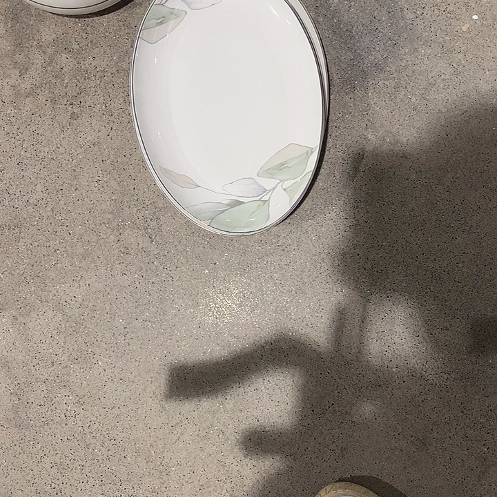 白瓷118号5个春之意鱼盘